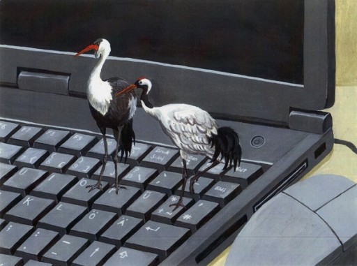 Elsa Klever Illustration Animals