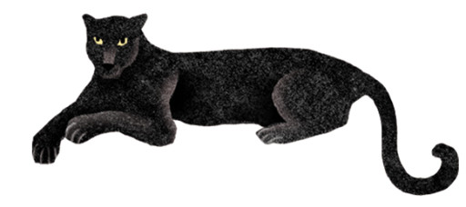 Elsa Klever Illustration Contact