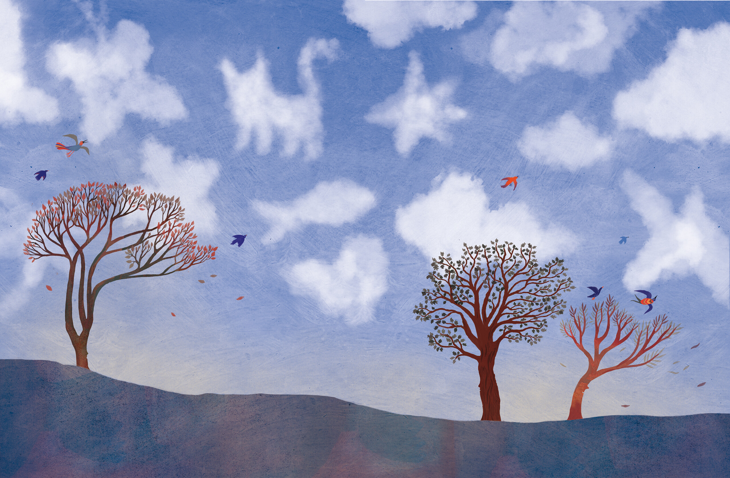 Elsa Klever Illustration Aladin